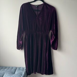 Maggy London crushed Velvet Eggplant dress size M